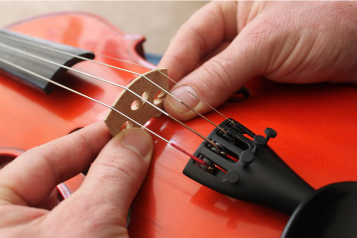 image showing how to position the bridge feet on a violin, viola, cello or upright bass